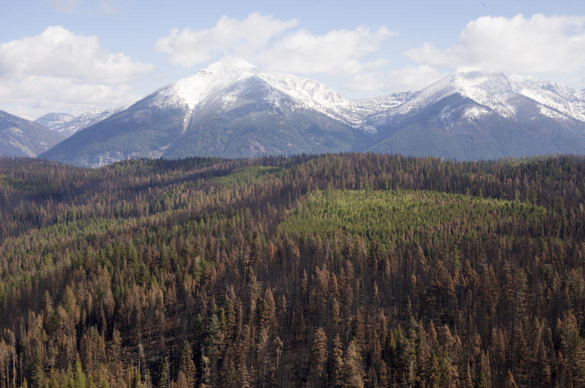 Rice Ridge Fire