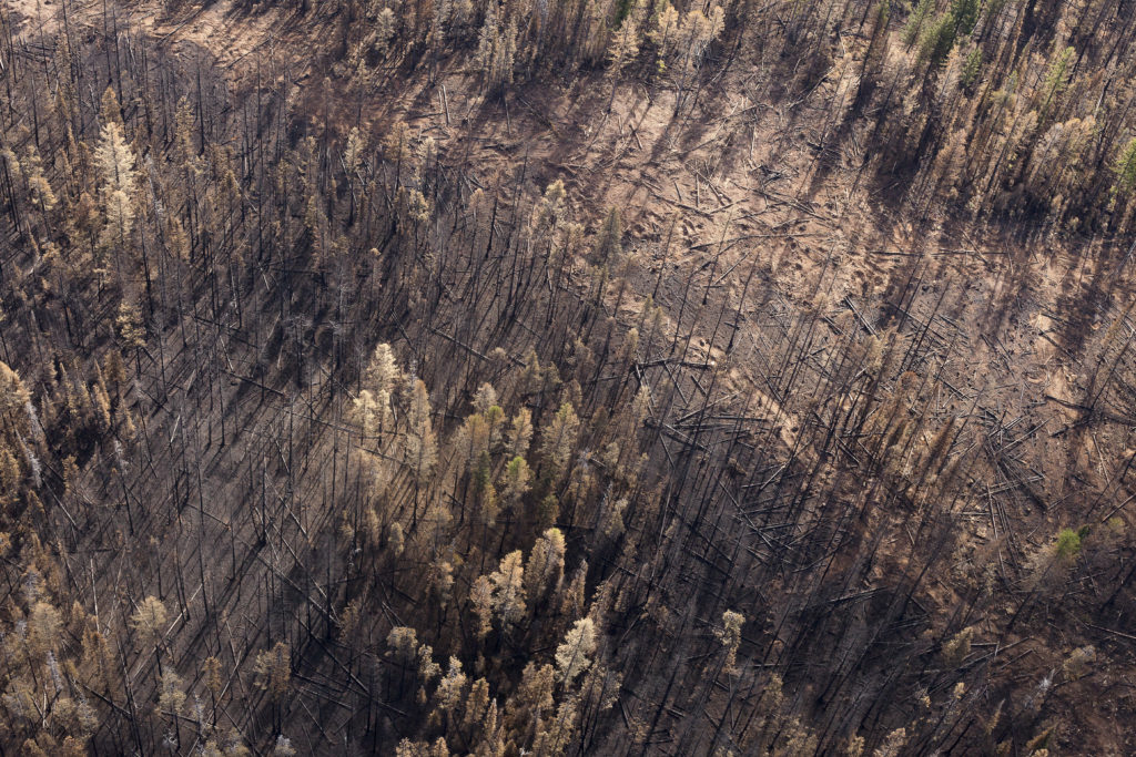 Seeley Lake Rice Ridge fire wildfire burn 2017 Montana 