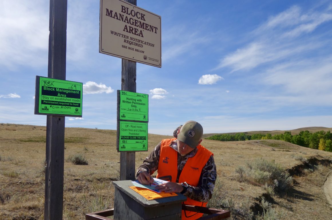 eastern montana hunting