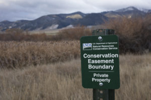 Ruby Valley Montana conservation stewardship cattle ranching habitat Woodson Ranch foundation conservation easement
