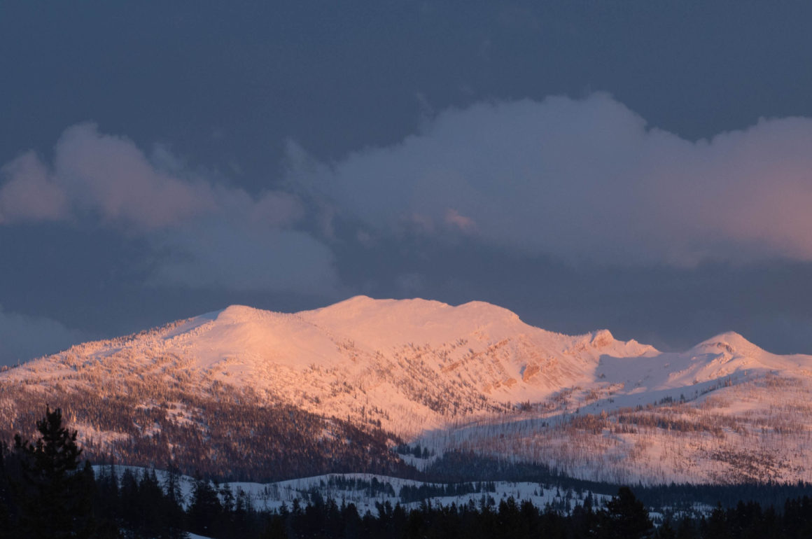 Could Montana Afford a Federal Land Transfer?