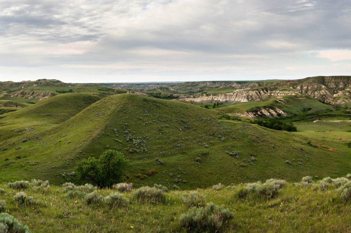 Eastern Montana, ranchland, prairie, ranch, ranching, rural, Montana, farming, grassland, open space