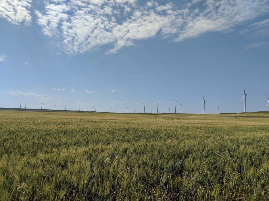 Judith Gap Wind Farm fields