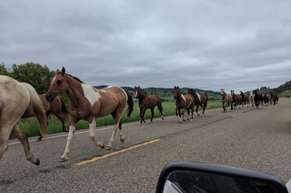 Community level solutions eastern Montana