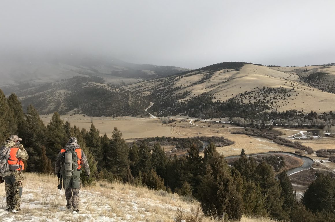 Hunting, Montana, Elk, Mule Deer, Family Hunting, Thanksgiving, Recreation