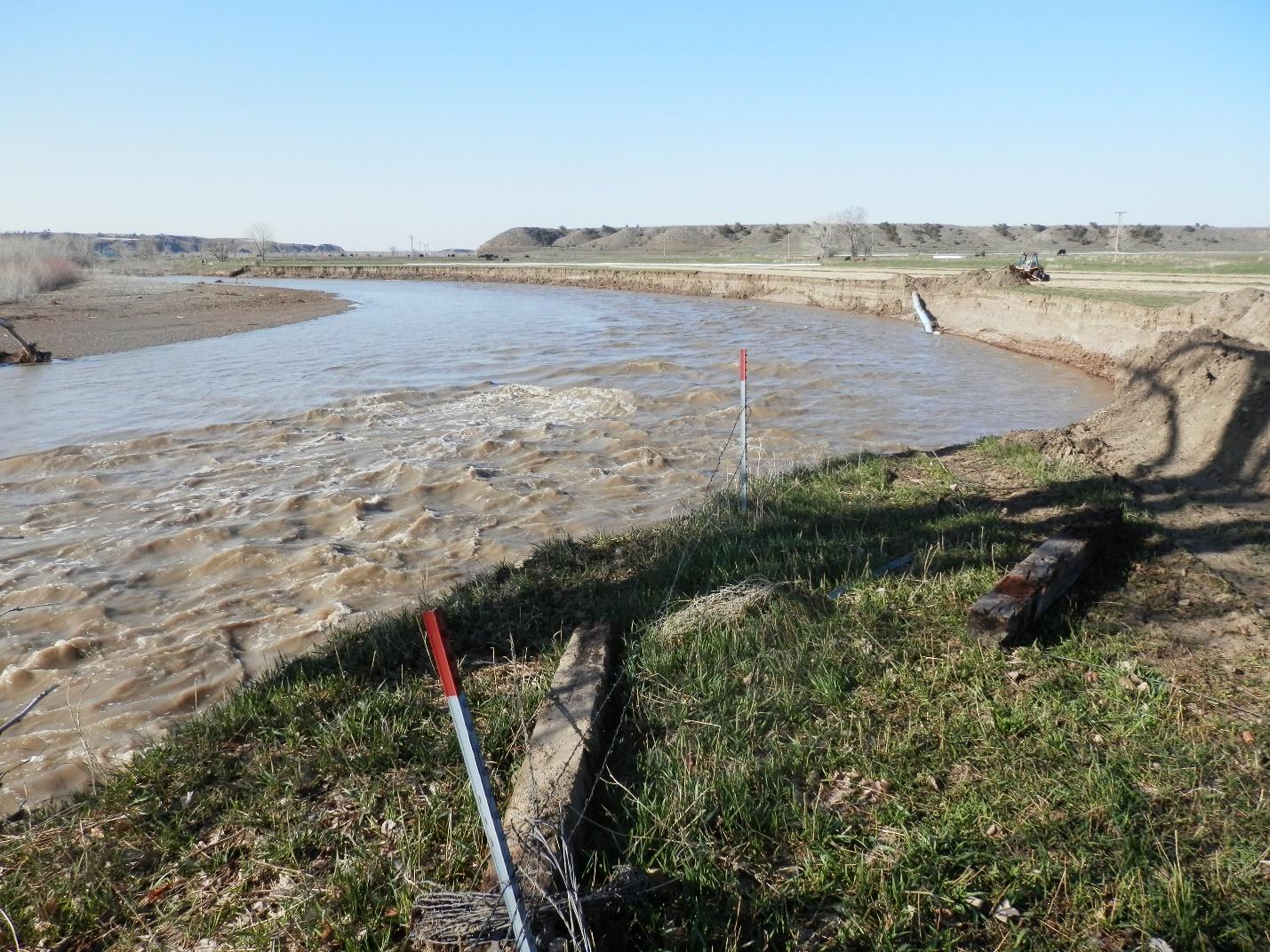 Bank erosion on the left side of the above photo shows where a pump site and buried pipeline were completely lost. The below photo shows a different view of the buried line and the bank changes. Photo credits: Musselshell Watershed Coalition.